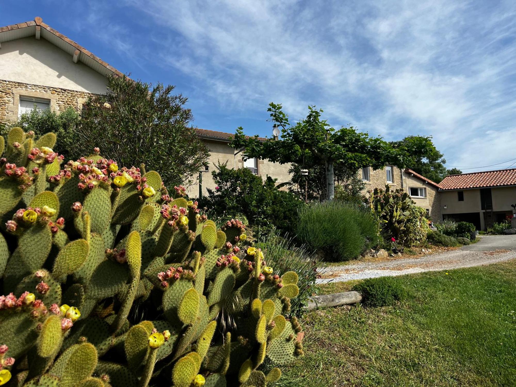 Figuets 3 Apartment Chateauneuf-de-Galaure Exterior foto